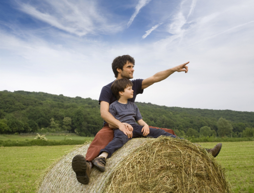 iStock_000009372864Large-kl.jpg